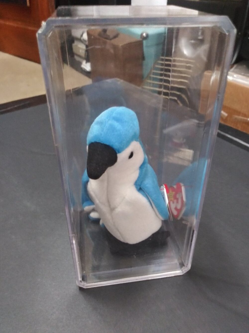 NM OG Collectable TY Beanie Baby Rocket 1997/1998 Tag ERROR RETIRED Display Case